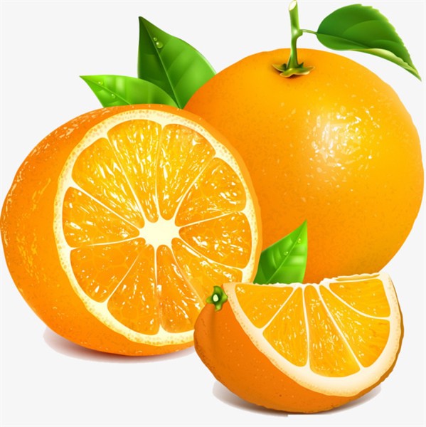 ec648323a4da985a84c7071ce0b85fd5.jpeg