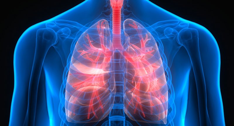 img-Lung1.jpg